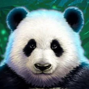 Mga Puwang na «Panda»