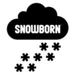 Mga puwang ng Snowborn Games